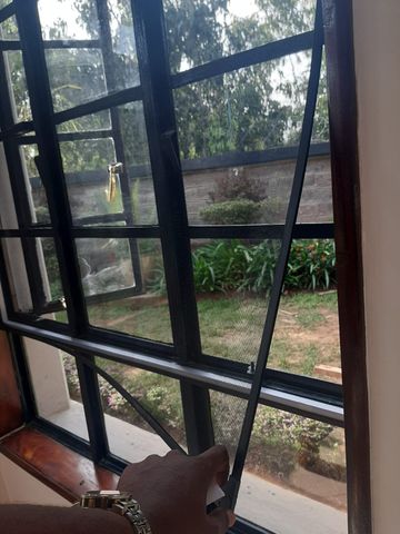 Magnetic Mosquito Net for Windows