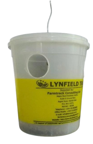 Bactrolure + Lynfield Trap - Clear (tin + attractant/hormone)