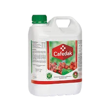 Cafedak 1L