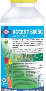 Accent 600SC Insecticide 