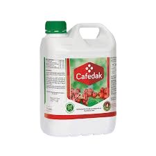 Cafedak 1L