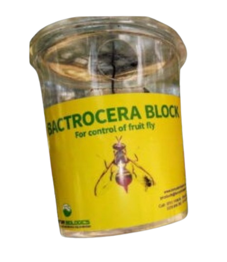 Bactrocera-Block (Tin attractant/Hormone)