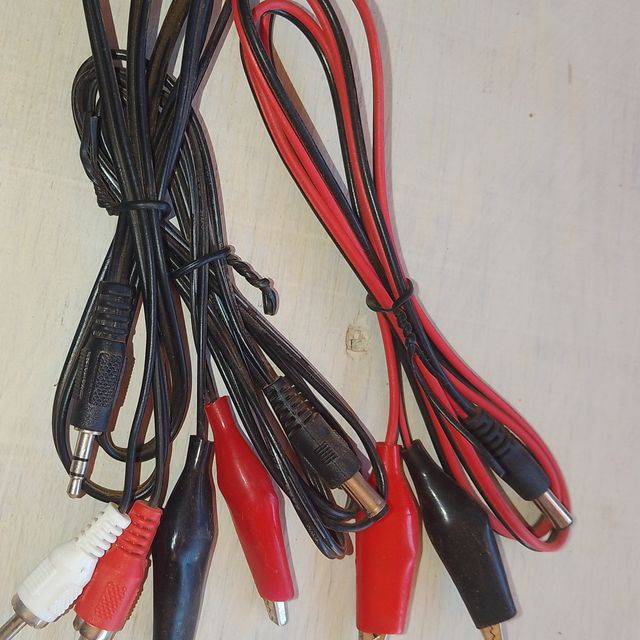 DC Charger With Polarity Clips 