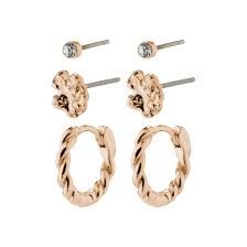 Earings (Packed)