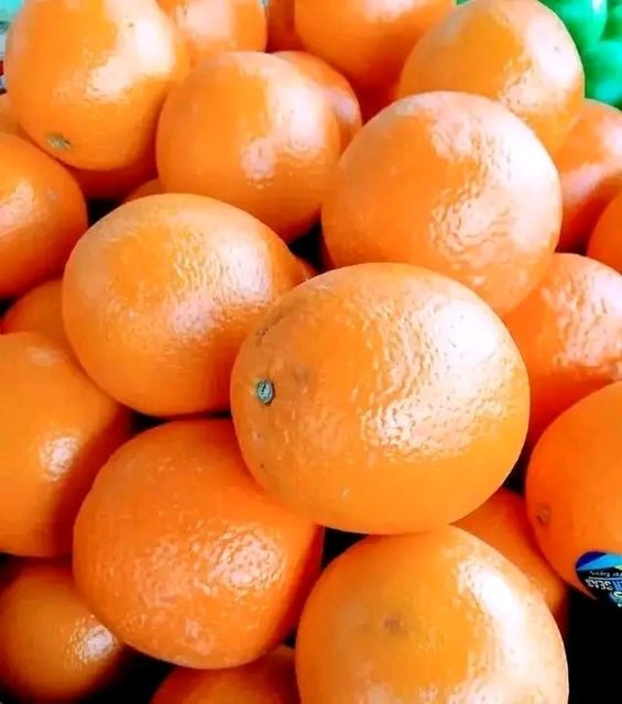 Fresh Oranges