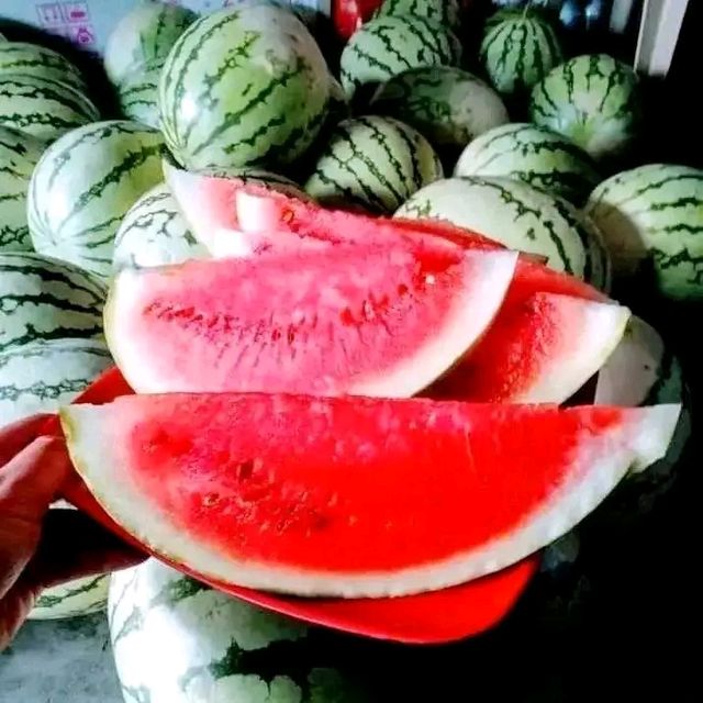 Fresh Watermelon 