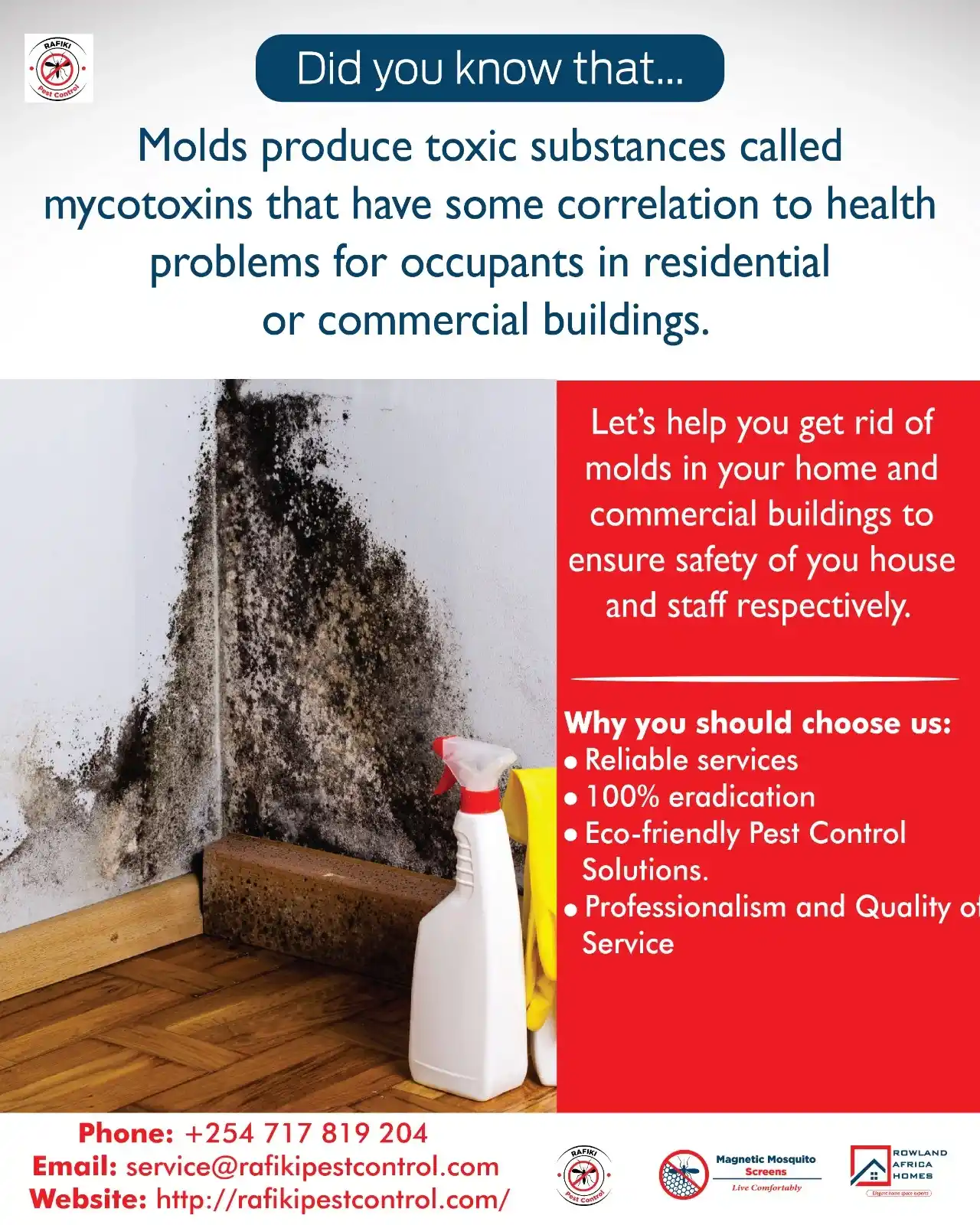 Mold Prevention and Remediation: A Guide for Homeowners