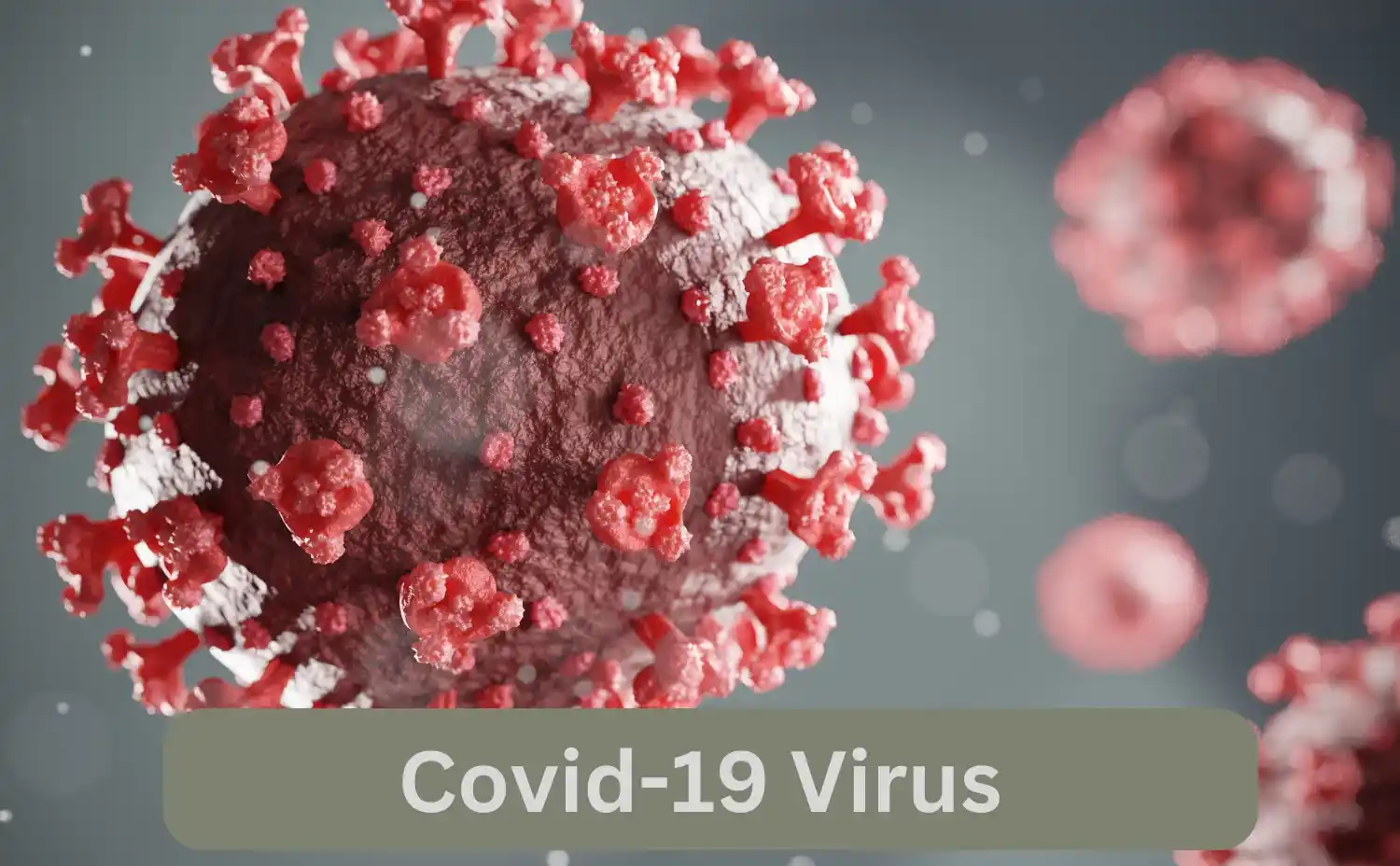 Professional Disinfection and Effective Protection against Covid 19 in Kenya