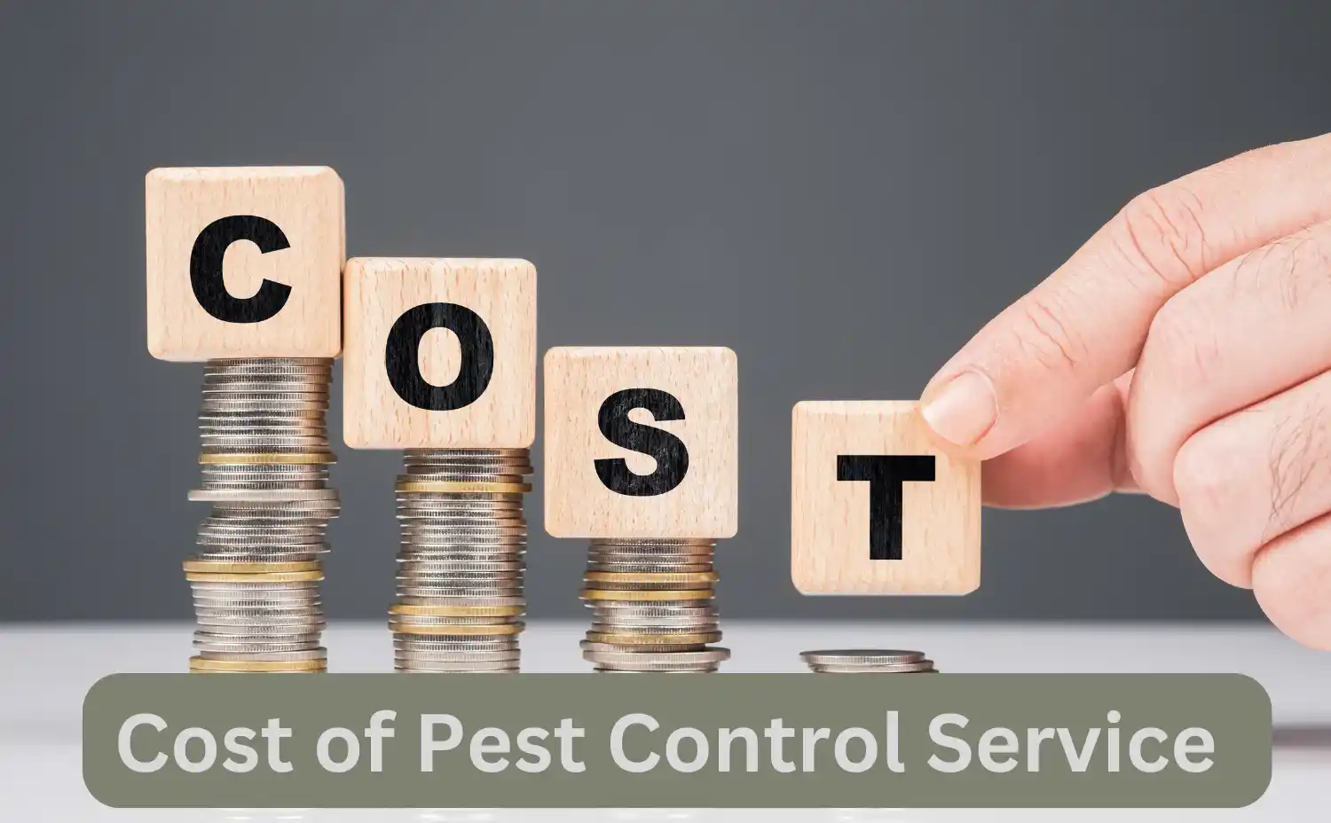 The Cost of Professional Pest Control Services