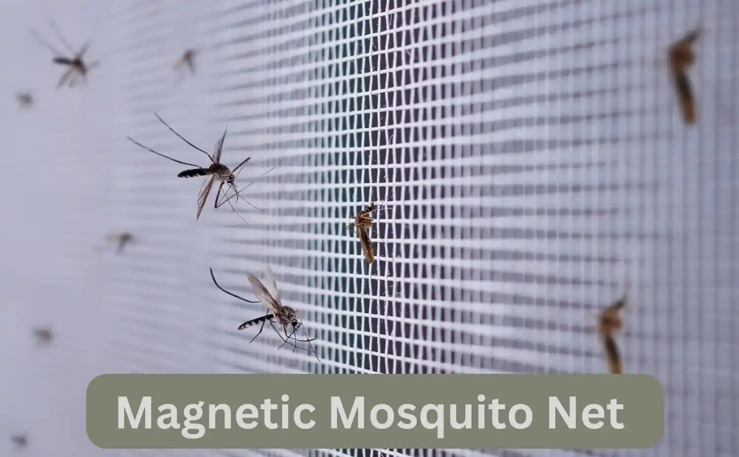 Magnetic Mosquito Net