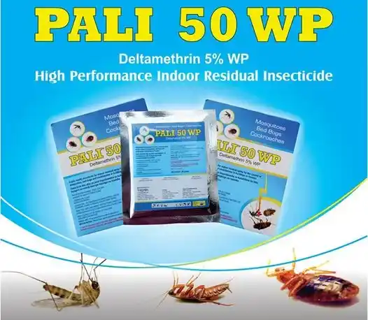 Pali 50WP