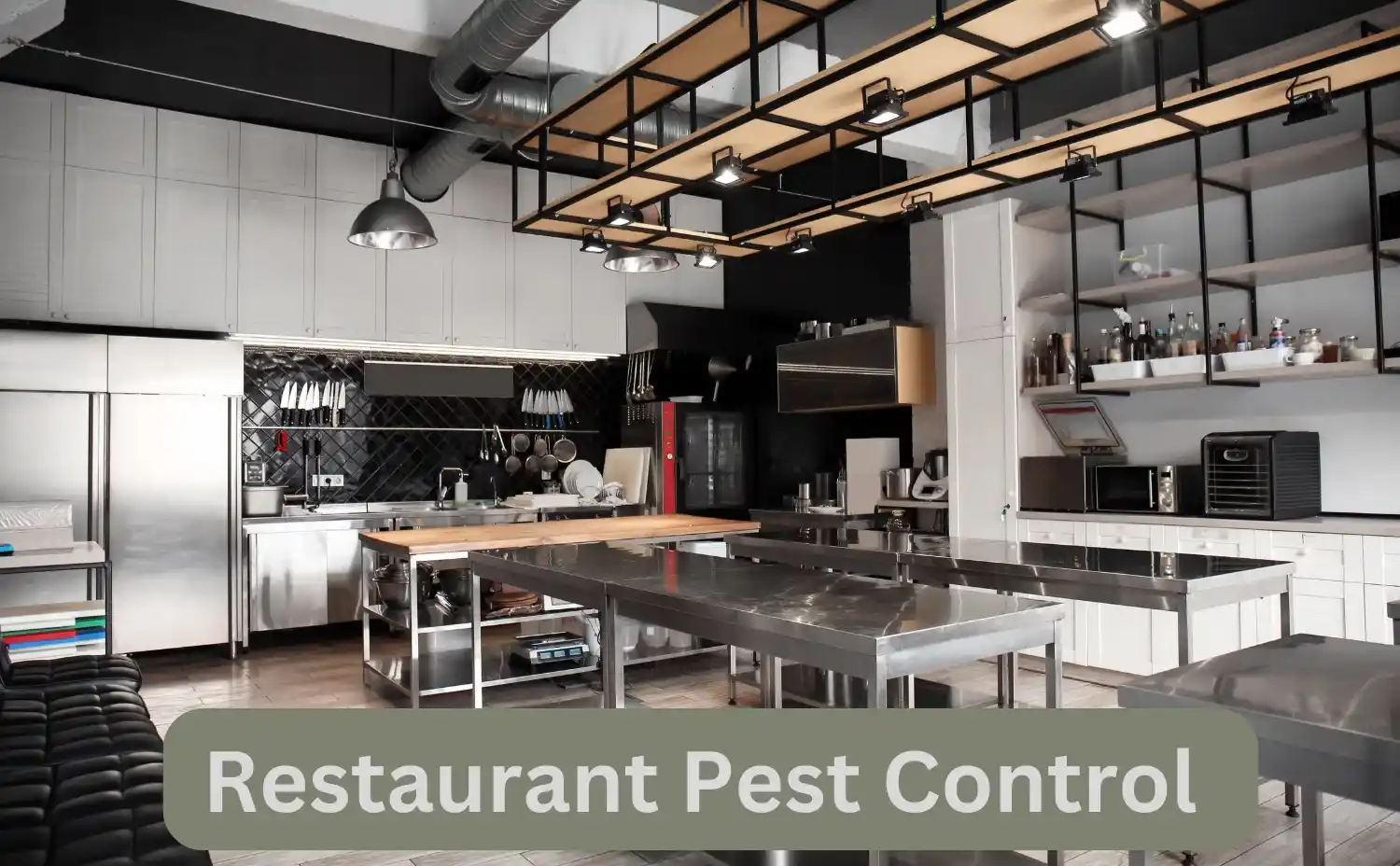 The Most Effective Restaurant Pest Control