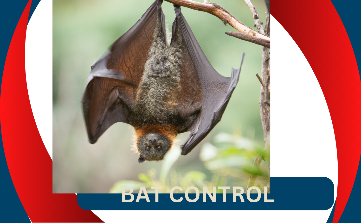 Bat Control